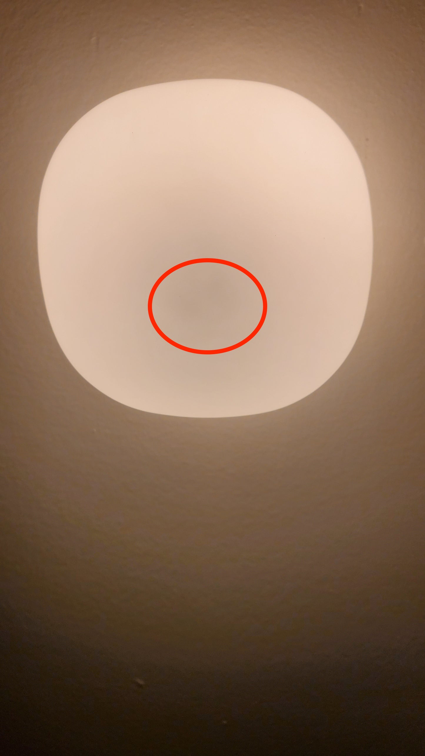 Pearl 6 | Sconce or Flush Mount